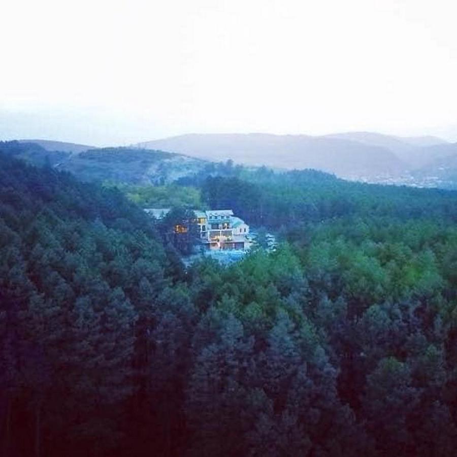 Hotel Surami エクステリア 写真