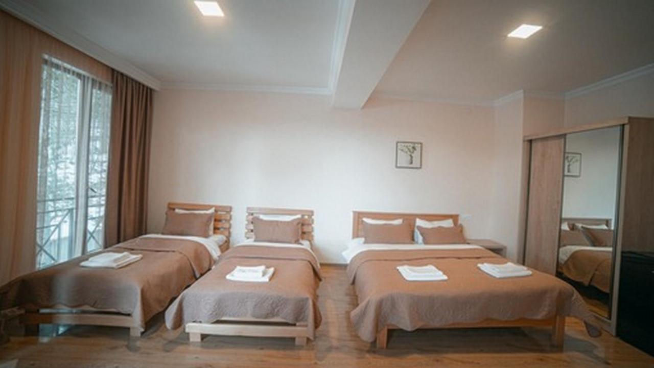 Hotel Surami エクステリア 写真