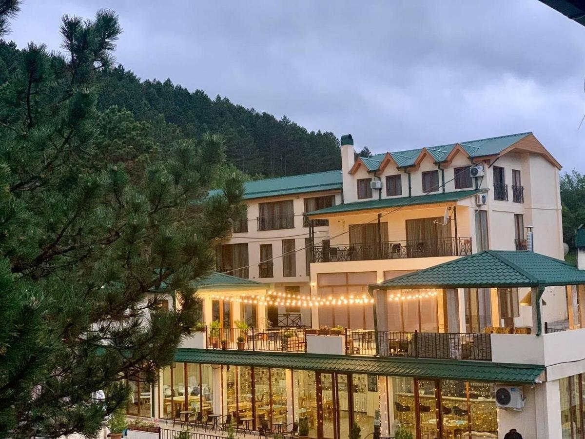 Hotel Surami エクステリア 写真